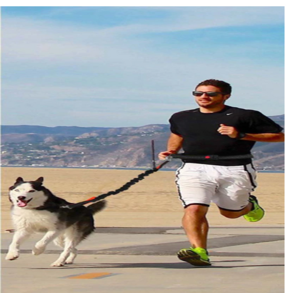 Running Elasticity Collar And Leash