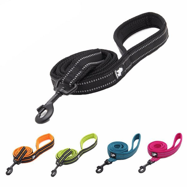 Reflective Nylon Mesh Collar And Leash