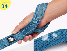 Load image into Gallery viewer, Reflective Nylon Mesh Collar And Leash
