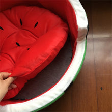 Load image into Gallery viewer, Watermelon Modeling Dog Bed