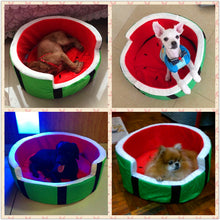 Load image into Gallery viewer, Watermelon Modeling Dog Bed