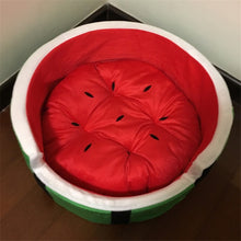 Load image into Gallery viewer, Watermelon Modeling Dog Bed