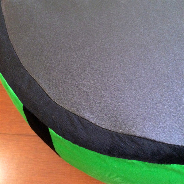 Watermelon Modeling Dog Bed