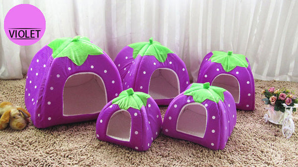 Sponge Pet House