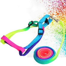 Load image into Gallery viewer, Colorful Rainbow Dog Collar Harness Leash