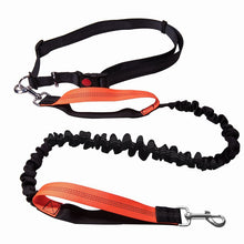 Load image into Gallery viewer, Running Elasticity Collar And Leash