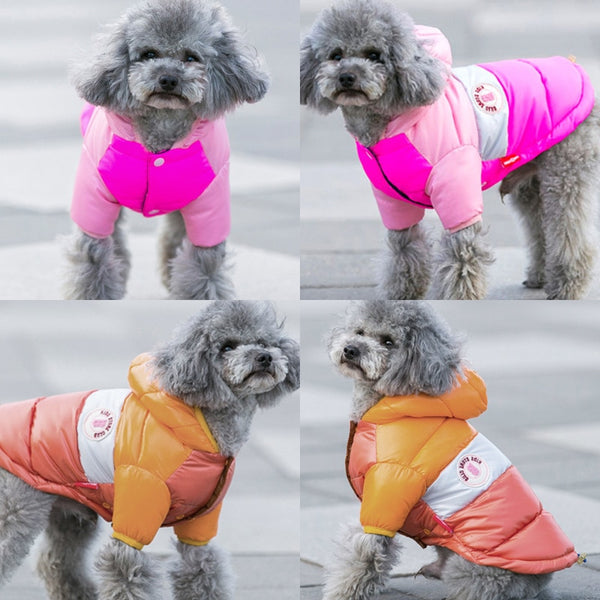 Waterproof Warm Jacket Clothing