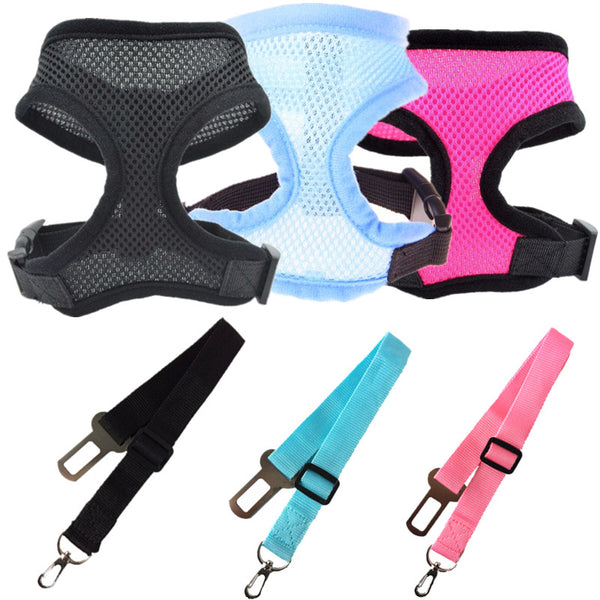 Adjustable Seat Belt