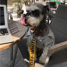 Load image into Gallery viewer, Schnauzer Dog Collar And Harness