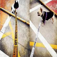 Load image into Gallery viewer, Schnauzer Dog Collar And Harness