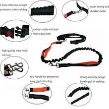 Load image into Gallery viewer, Running Elasticity Collar And Leash
