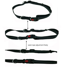 Load image into Gallery viewer, Running Elasticity Collar And Leash
