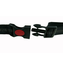Load image into Gallery viewer, Running Elasticity Collar And Leash