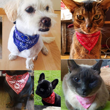 Load image into Gallery viewer, Bandana Pet Neckerchief Printed