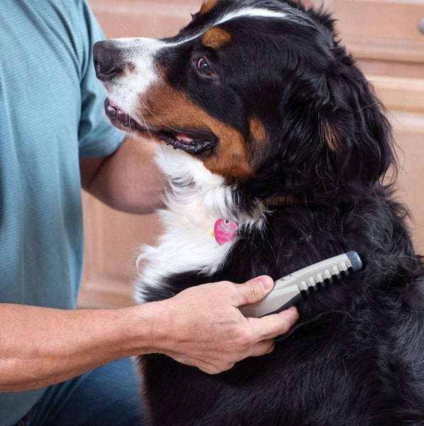 Electric Hair Trimmer Grooming Comb