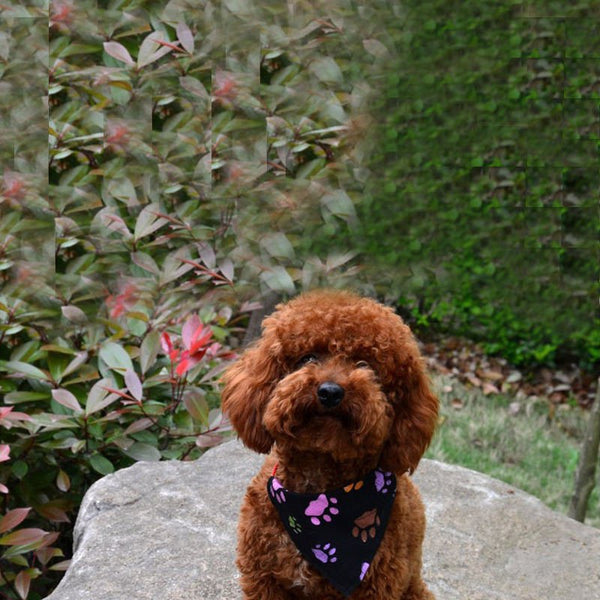 Adjustable Dog Bandana Neckerchief