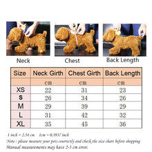 Load image into Gallery viewer, Summer Clothes Dog Shirt
