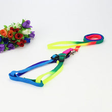 Load image into Gallery viewer, Colorful Rainbow Dog Collar Harness Leash