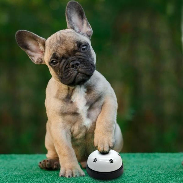 Interactive Potty Bell Toy