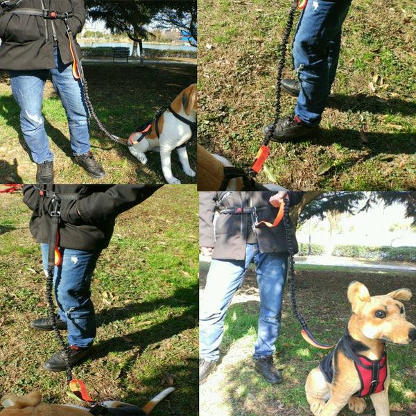 Running Elasticity Collar And Leash