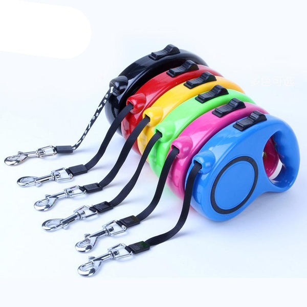 Training Strip  Leash