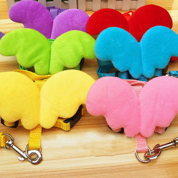 Wing Dog Harness and Leash