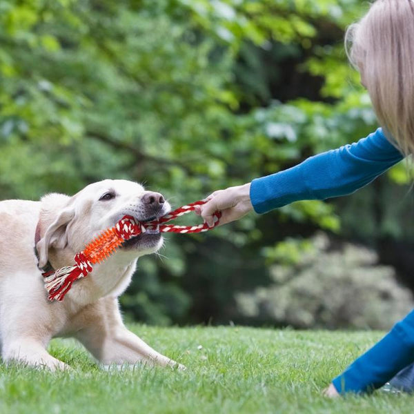 Cotton Rope Toy