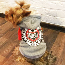 Load image into Gallery viewer, Warm Spring Puppy Clothing