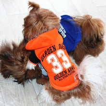Load image into Gallery viewer, Warm Spring Puppy Clothing