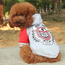 Load image into Gallery viewer, Warm Spring Puppy Clothing