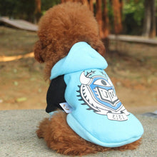 Load image into Gallery viewer, Warm Spring Puppy Clothing