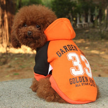 Load image into Gallery viewer, Warm Spring Puppy Clothing