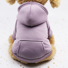 Load image into Gallery viewer, Hoodie Jacket Pet Clothes