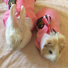 Load image into Gallery viewer, School Style Pet Clothes