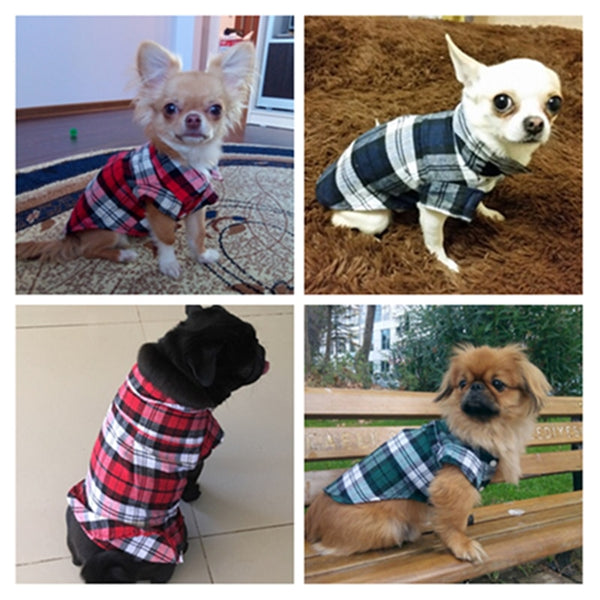 Summer Clothes Dog Shirt