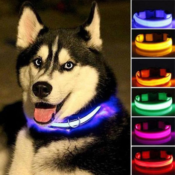 Glow In The Dark Dog Leash