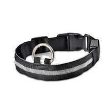 Load image into Gallery viewer, Glow In The Dark Dog Leash