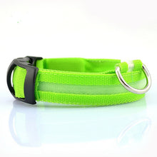 Load image into Gallery viewer, Glow In The Dark Dog Leash
