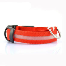 Load image into Gallery viewer, Glow In The Dark Dog Leash