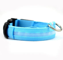 Load image into Gallery viewer, Glow In The Dark Dog Leash