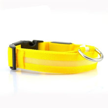 Load image into Gallery viewer, Glow In The Dark Dog Leash