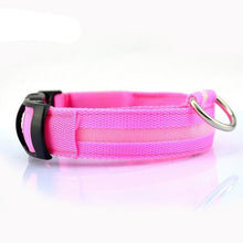 Load image into Gallery viewer, Glow In The Dark Dog Leash