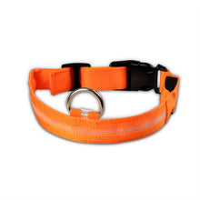 Load image into Gallery viewer, Glow In The Dark Dog Leash