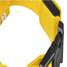Load image into Gallery viewer, Glow In The Dark Dog Leash