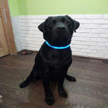 Load image into Gallery viewer, Glow In The Dark Dog Leash