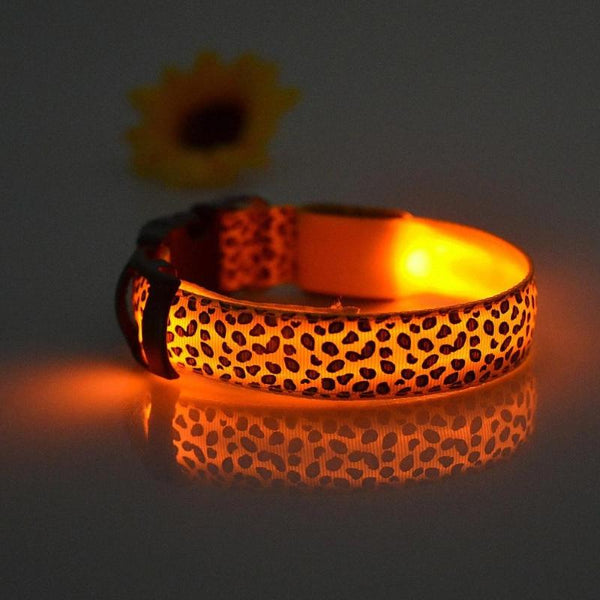 Flashing Glowing Collar Leash