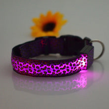 Load image into Gallery viewer, Flashing Glowing Collar Leash