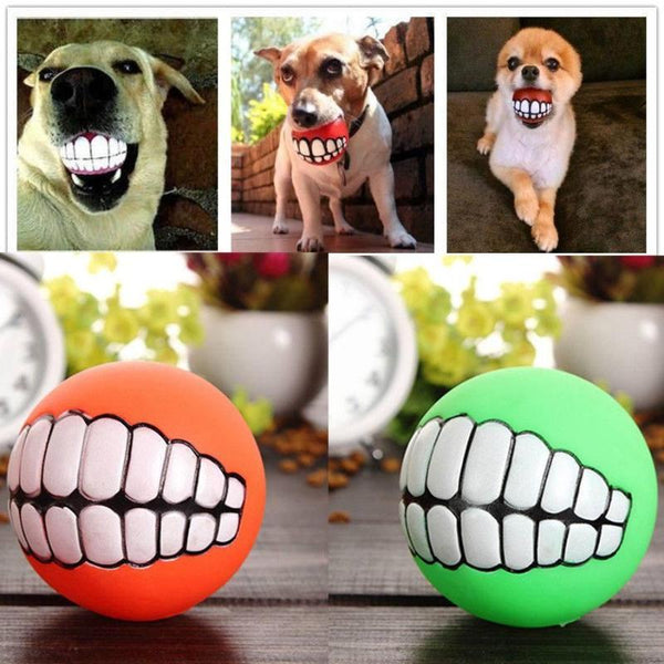 Fetching Squeak Toy