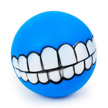 Load image into Gallery viewer, Fetching Squeak Toy