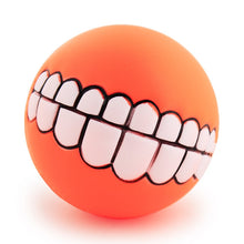 Load image into Gallery viewer, Fetching Squeak Toy